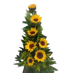 Arreglo de 7 girasoles