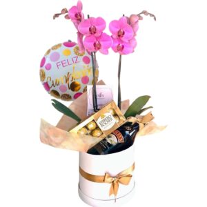 Caja regalo con planta de orquídea