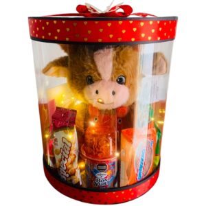 Caja sorpresa con peluche y snacks