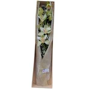 Caja con vara de orquídea cimbidium