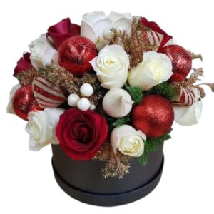 Flores de nochebuena