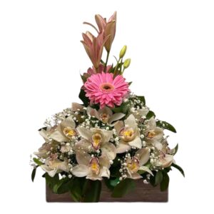 Orquídeas y flores surtidas