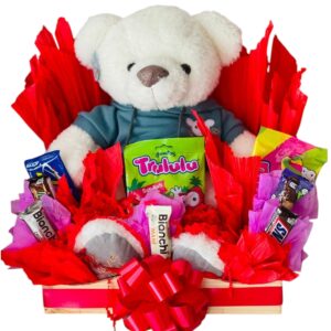 Regalo de peluche y dulces