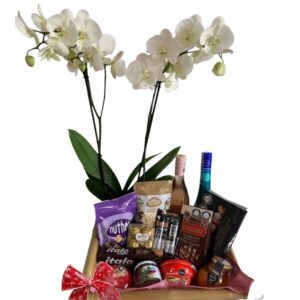 Orquídea y ancheta navideña