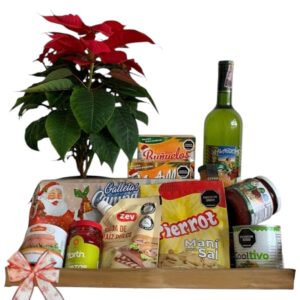Ponsettia y ancheta de navidad