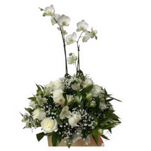 Diseño con planta de orquídeas y rosas